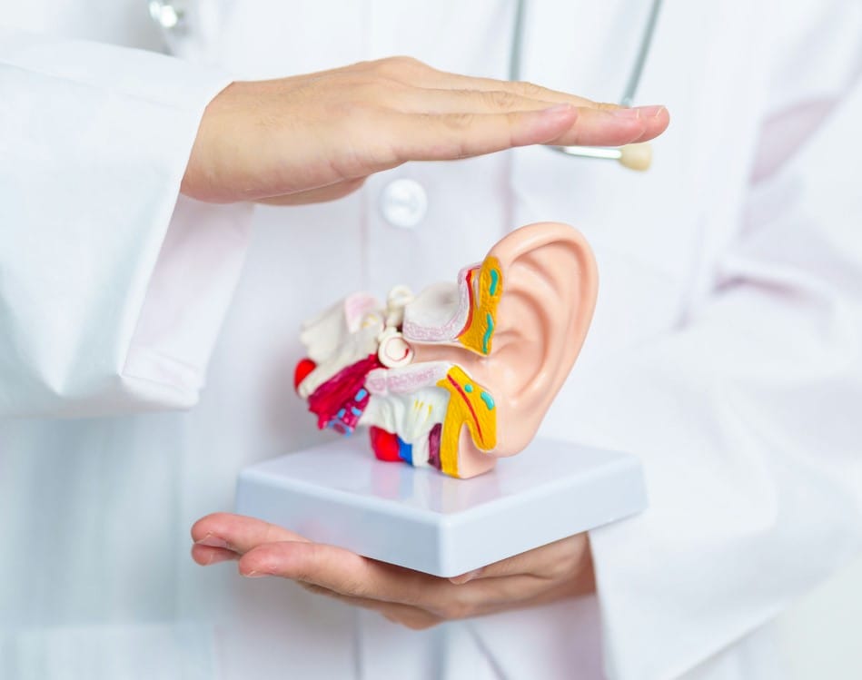 What Are the Five Levels of Hearing Loss?